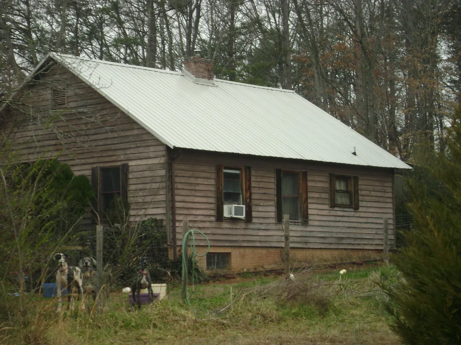White metal roof on an old wood sided farmhouse, from a Asphalt Shingle Roof Repair job in Piney Creek